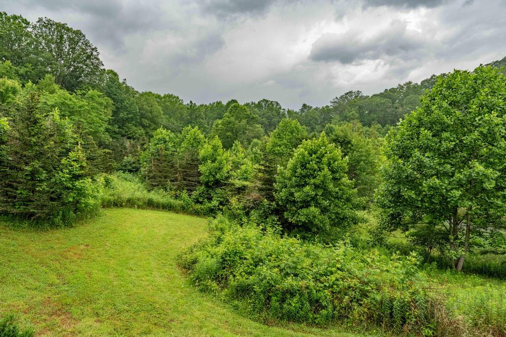 306 Bear Branch rd, Roan Mountain, TN à vendre Photo principale– Image 1 sur 24