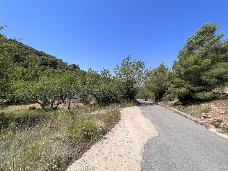 Proc. Simplificado, Borriol, Castellón à vendre - Photo principale – Image 2 sur 12