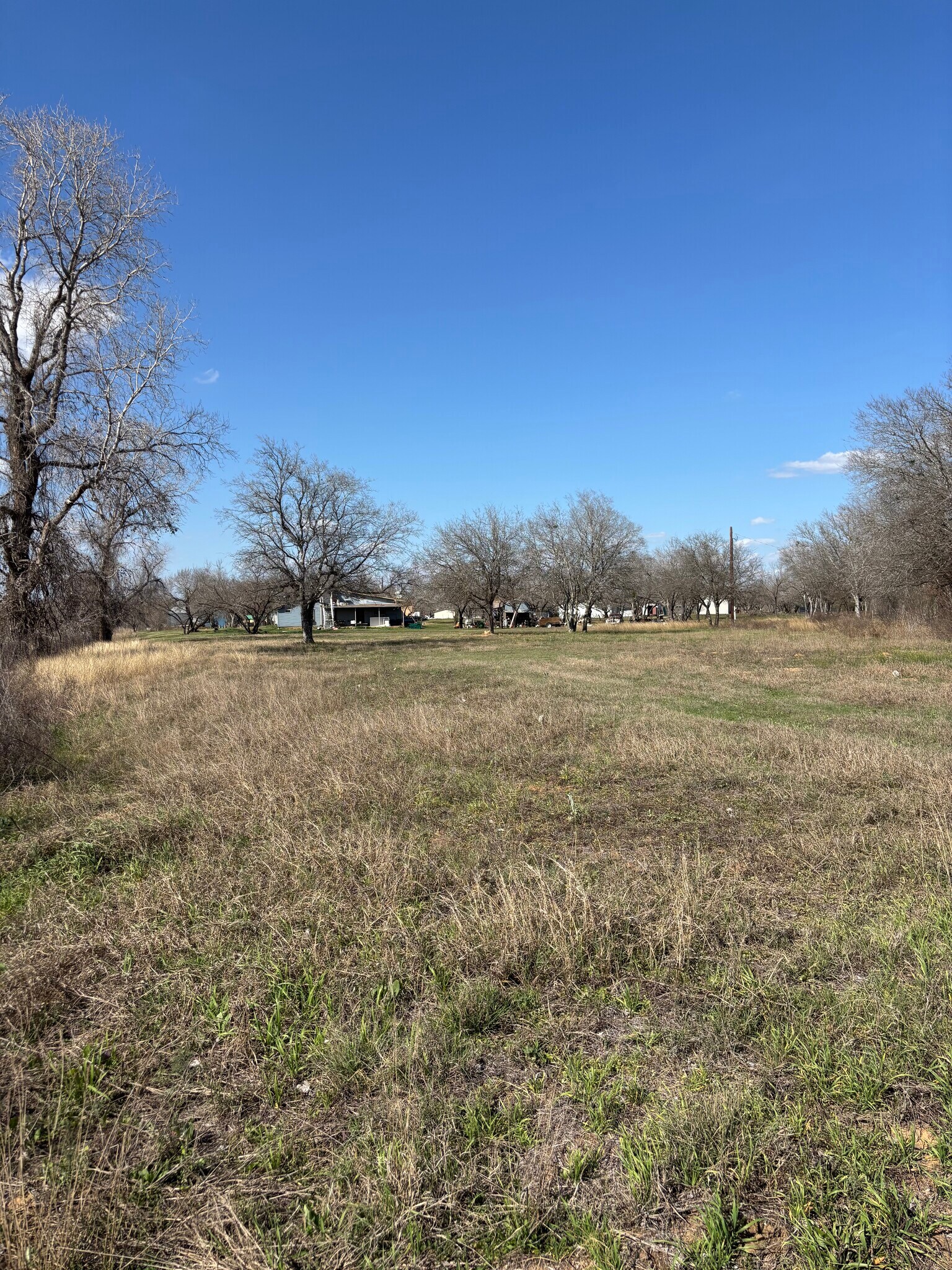 17423 Fx Ball Dr, Elmendorf, TX à vendre Photo principale– Image 1 sur 42