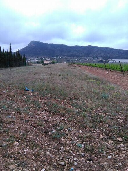 Terrain dans Aspe, Alicante à vendre - Aérien – Image 2 sur 2