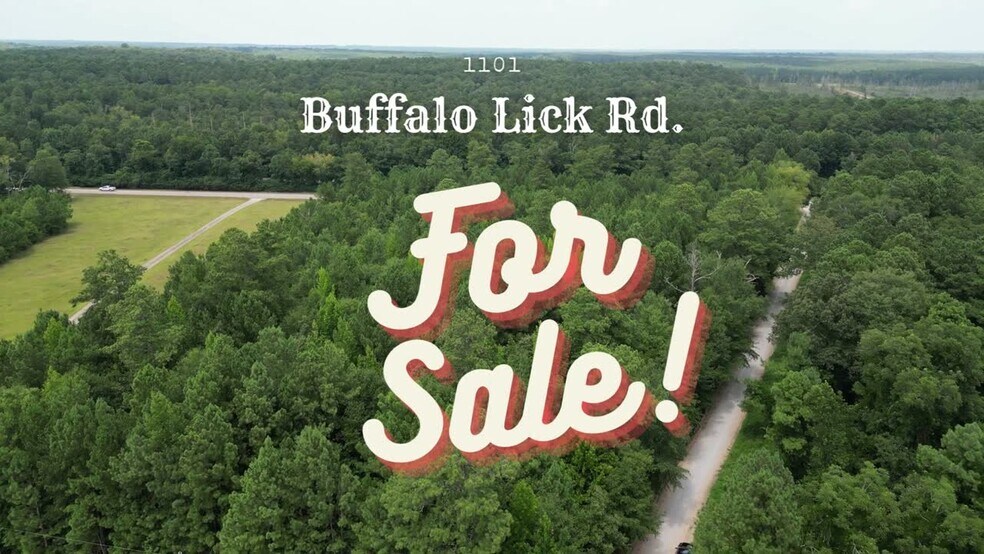 1201 Buffalo Lick rd, Union Point, GA à vendre - Vidéo sur l’annonce professionnelle – Image 2 sur 2