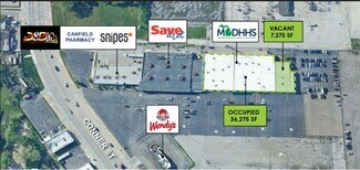 Plus de détails pour 4729-4737 Conner St, Detroit, MI - Local commercial à vendre