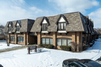 Plus de détails pour 28045 N Ashley Cir, Libertyville, IL - Local d’activités à vendre