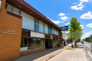 Plus de détails pour 22720 Woodward Ave, Ferndale, MI - Bureau/Local commercial à louer