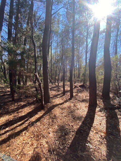 0 River Rd, Johns Island, SC à vendre Photo principale– Image 1 sur 9