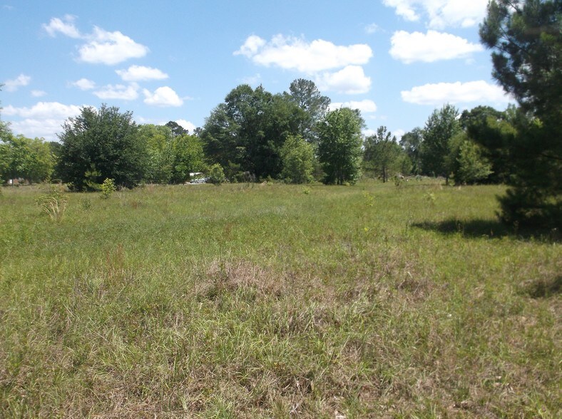 218-220 S Duval St, Claxton, GA à vendre - Photo de l’immeuble – Image 2 sur 6