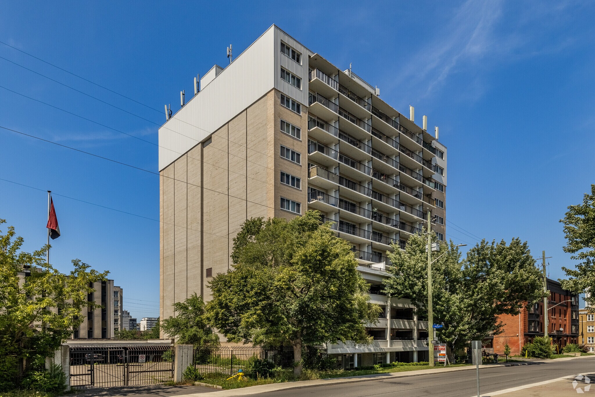 201 Mcleod St, Ottawa, ON à louer Photo principale– Image 1 sur 4