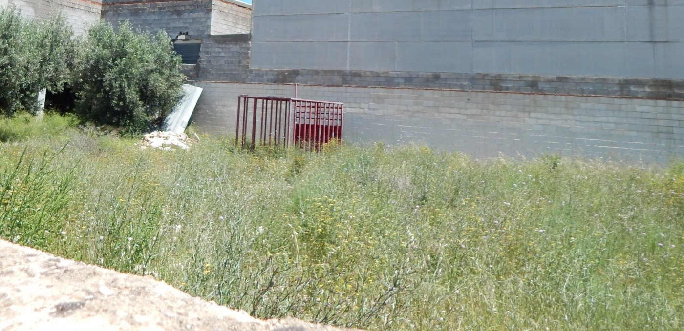 Terrain dans València, Valencia à vendre Photo principale– Image 1 sur 3