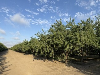Plus de détails pour 1660 Fruit Ave. Fruit Ave, Patterson, CA - Terrain à vendre