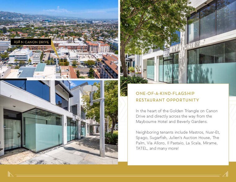 238 N Canon Dr, Beverly Hills, CA à louer - Photo de l’immeuble – Image 3 sur 16