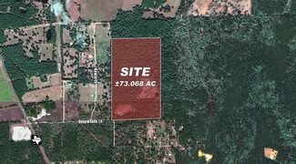 Plus de détails pour 10771 County Road 351, Plantersville, TX - Terrain à vendre