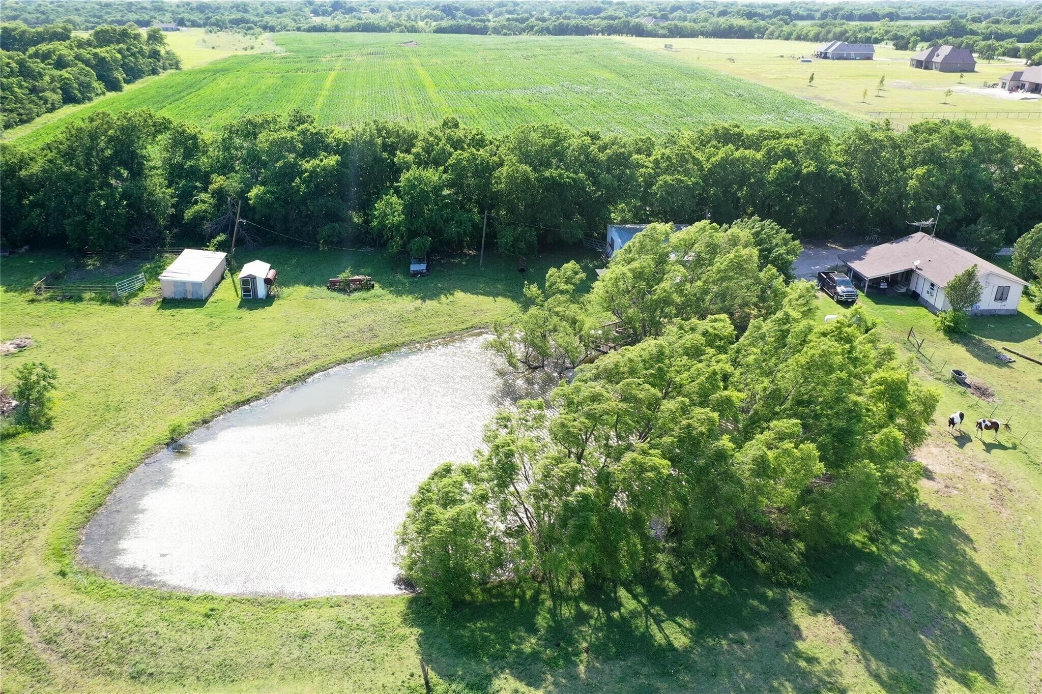 12148 County Road 580, Blue Ridge, TX à vendre Photo de l’immeuble– Image 1 sur 2