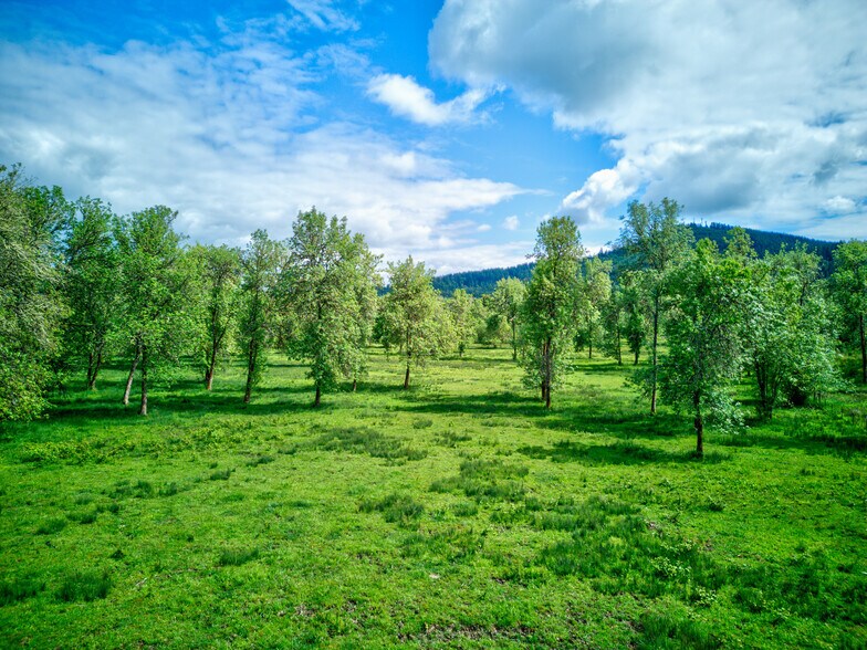927 State Highway 138 w, Sutherlin, OR à vendre - Photo de l’immeuble – Image 3 sur 9