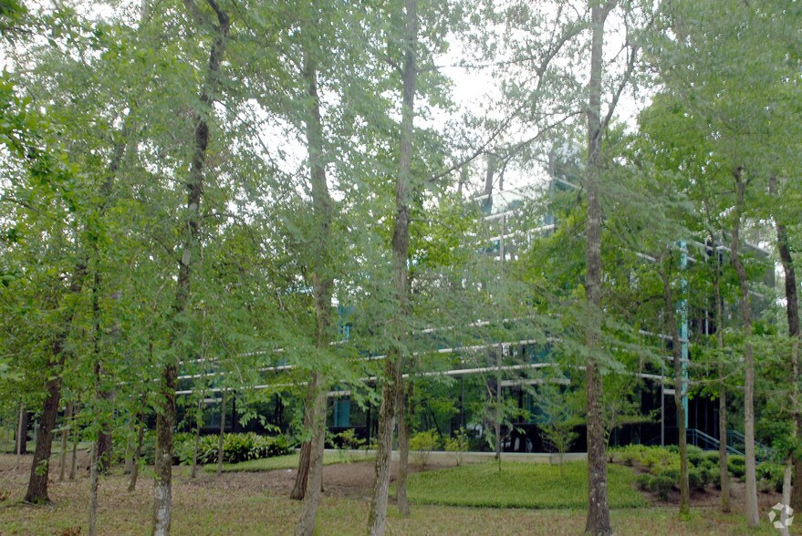 2201 Lake Woodlands Dr, Spring, TX à louer - Photo de l’immeuble – Image 2 sur 5