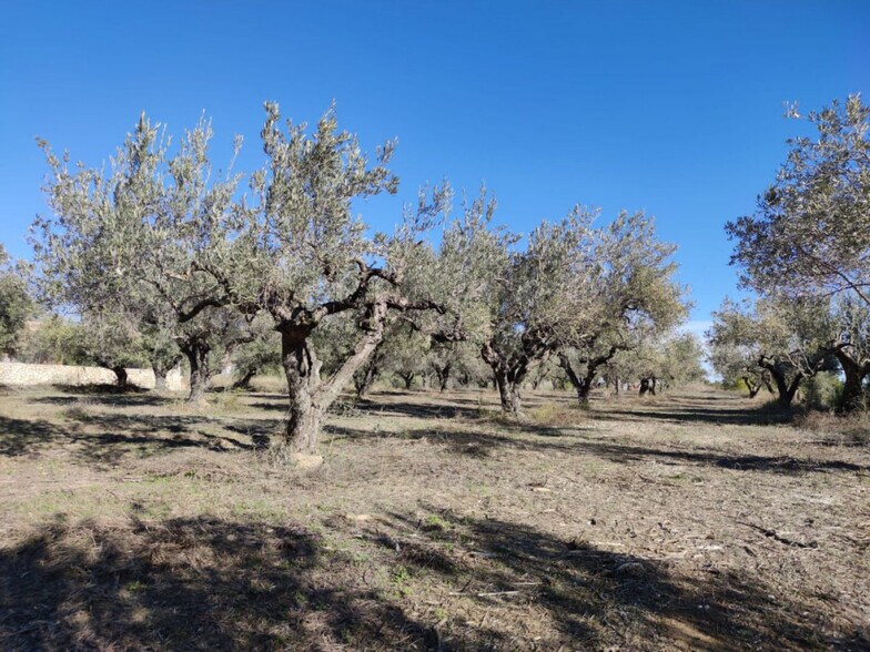 Terrain dans Ontinyent, Valencia à vendre - Photo principale – Image 2 sur 13