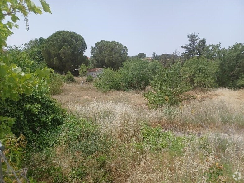 Terrain dans Ribatejada, Madrid à vendre - Photo de l’immeuble – Image 3 sur 4