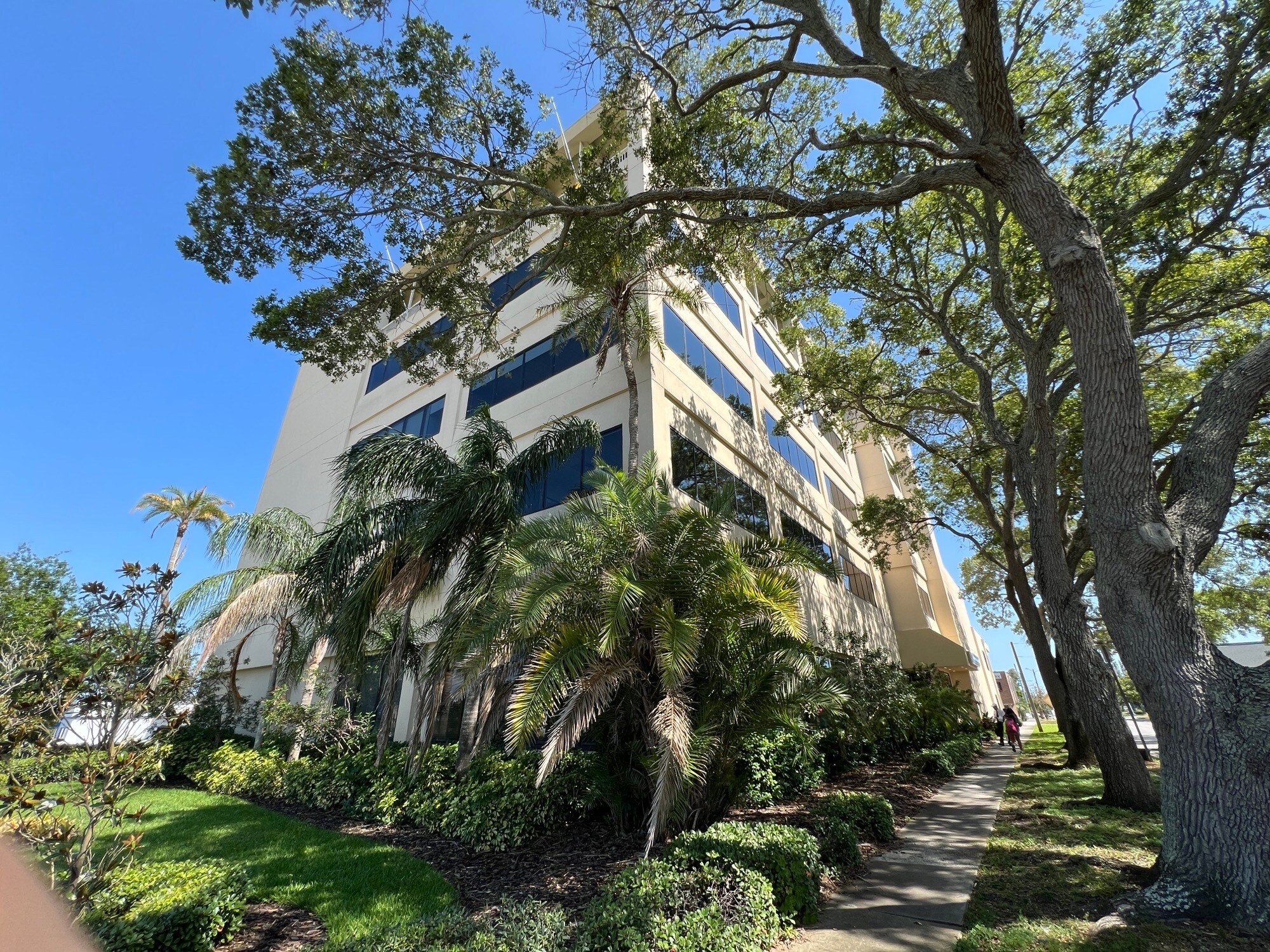 1255 Cleveland St, Clearwater, FL à louer Photo principale– Image 1 sur 17