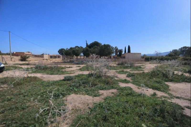 Paraje, 831, Librilla, Murcia à vendre - Plan de site – Image 2 sur 16