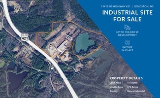 Plus de détails pour 13415 US Highway 421, Goldston, NC - Industriel/Logistique à vendre