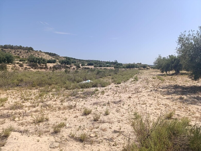 Terrain dans Albudeite, Murcia à vendre - Plan de site – Image 2 sur 3