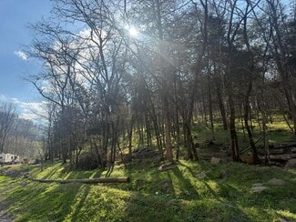 Plus de détails pour 940 Riley Creek Rd, Whitleyville, TN - Terrain à vendre