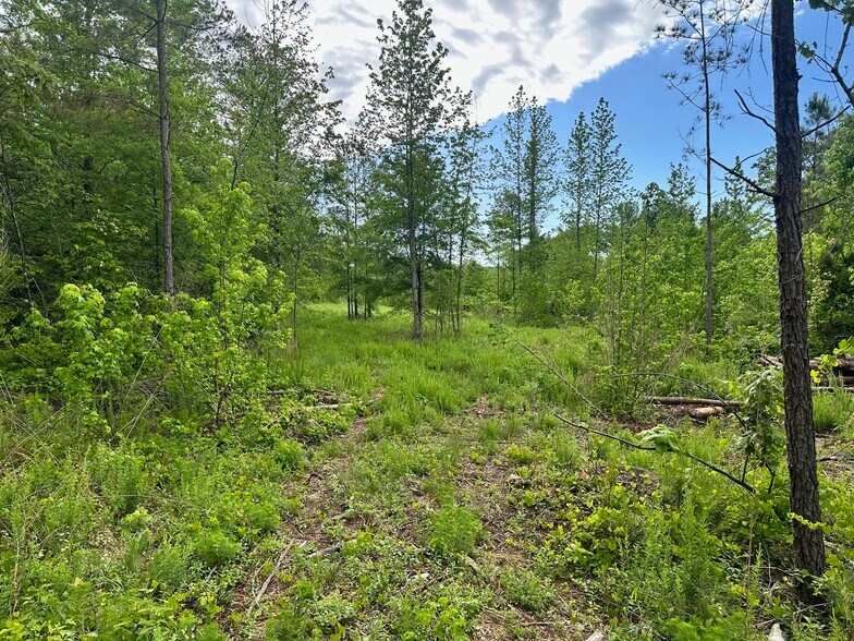 Satcher Road Rd, Taylorsville, GA à vendre - Photo de l’immeuble – Image 2 sur 5