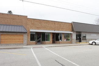 Plus de détails pour 75 S Front St, Grant, MI - Local commercial à vendre