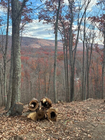 122 Flat Rock Rd, Waynesboro, VA à vendre - Photo de l’immeuble – Image 3 sur 9