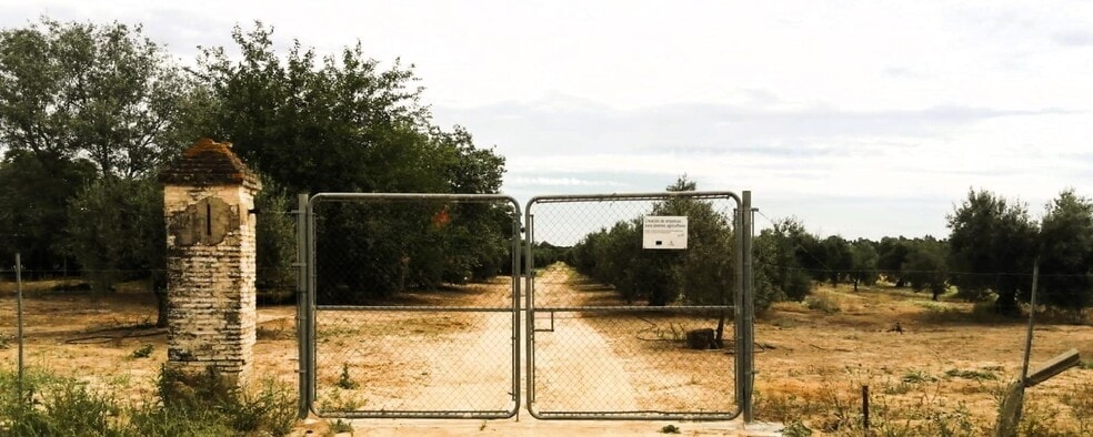 Polígono Ue, 11 Parcela 69, Villamanrique de la Condesa, Sevilla à vendre - Photo de l’immeuble – Image 3 sur 37