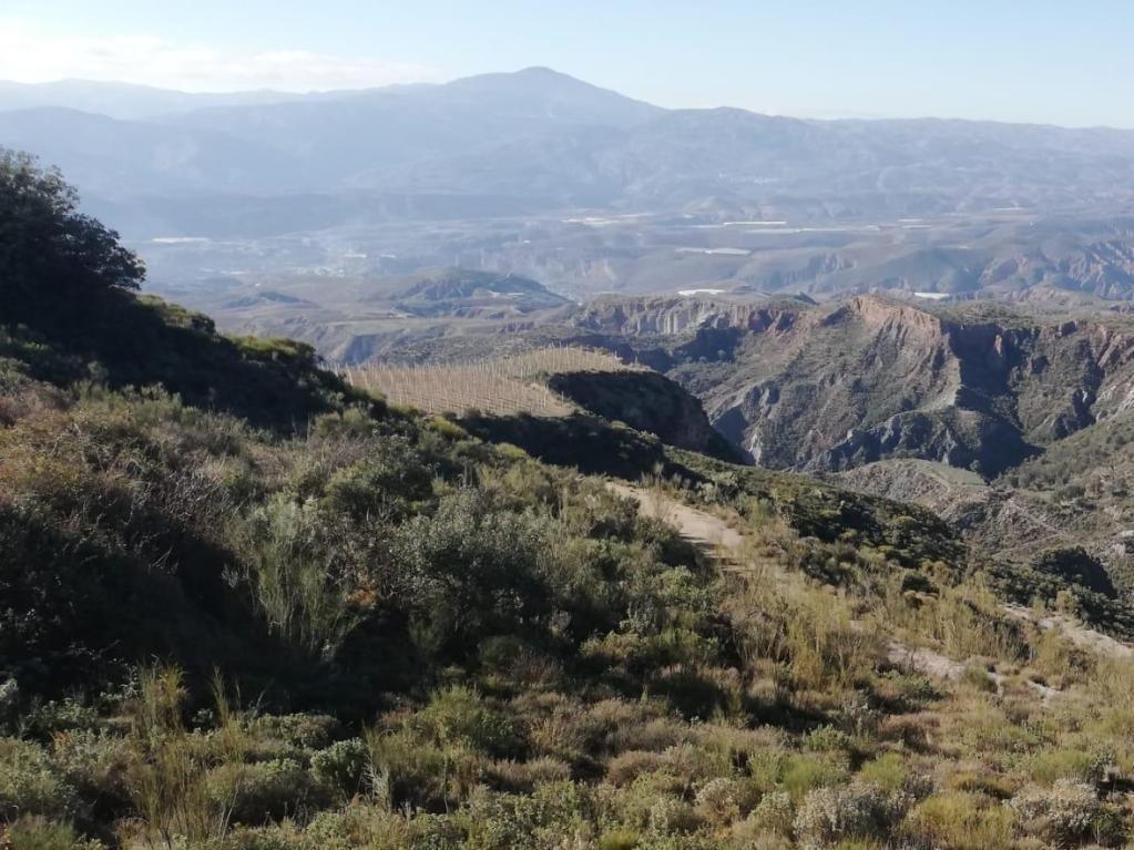 Terrain dans Monachil, Granada à vendre Aérien– Image 1 sur 5