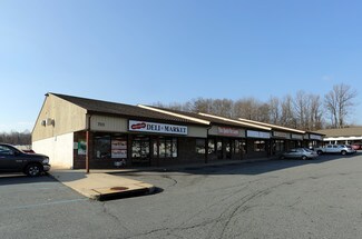 Plus de détails pour 703 N Bridge St, Elkton, MD - Bureau/Local commercial à louer