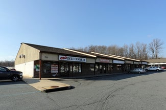 Plus de détails pour 703 N Bridge St, Elkton, MD - Bureau/Local commercial à louer