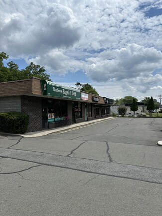Plus de détails pour 589 Route 303, Blauvelt, NY - Local commercial à louer