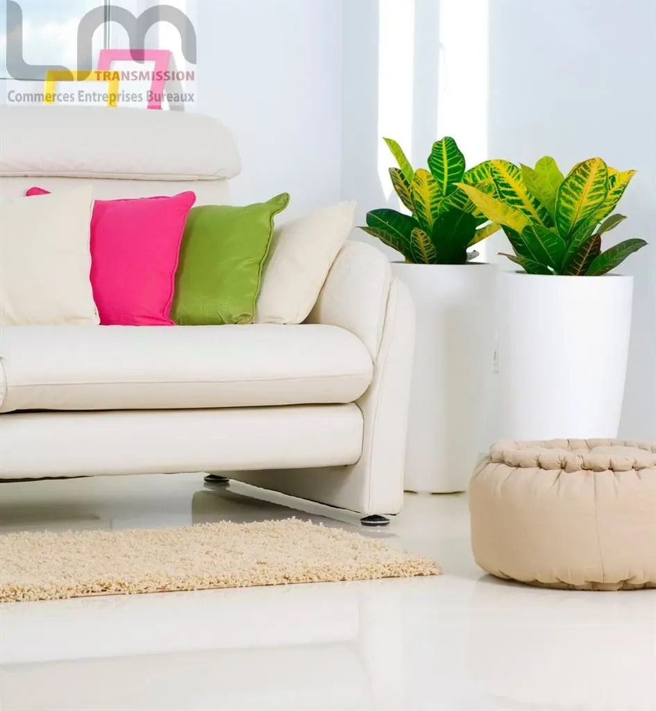 Local commercial dans Maisons-Alfort à louer Photo intérieure– Image 1 sur 5