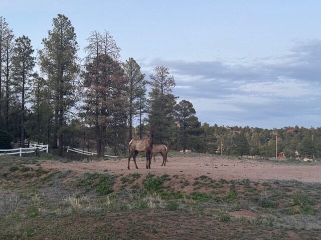 2216 Mogollon Rim Dr, Overgaard, AZ à vendre - Autre – Image 2 sur 16