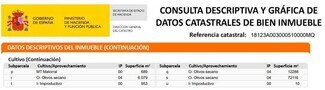 Plus de détails pour Plaza de Andalucía, 1, Loja - Terrain à vendre