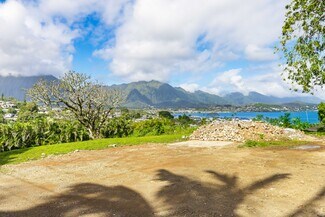Plus de détails pour 44-122 Ikeanani Dr, Kaneohe, HI - Terrain à vendre