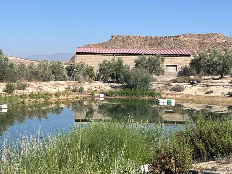 Terrain dans La Malahá, Granada à vendre - Photo de l’immeuble – Image 2 sur 36