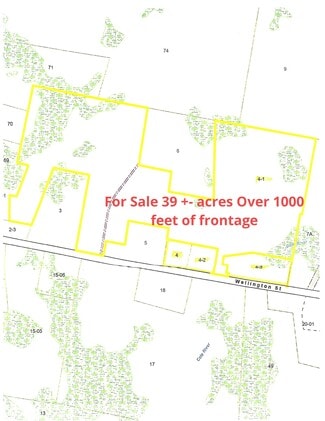 Plus de détails pour 1852 Wellington St, Dighton, MA - Terrain à vendre