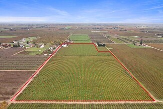 Plus de détails pour 14235 N Vintage Rd, Lodi, CA - Terrain à vendre