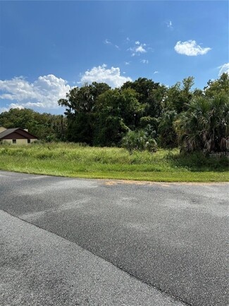 Plus de détails pour Redtree Dr, Leesburg, FL - Terrain à vendre