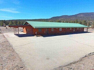 Plus de détails pour 20 Lodge Dr, South Fork, CO - Bureau à vendre