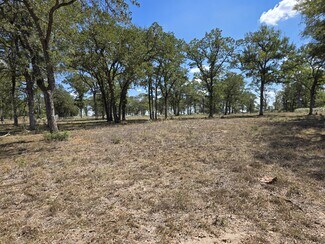 Plus de détails pour 0 SH 304, Bastrop, TX - Terrain à vendre