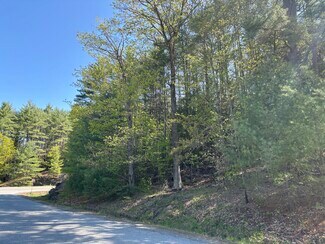Plus de détails pour 0 E Putney Falls Rd, Chester, VT - Terrain à vendre