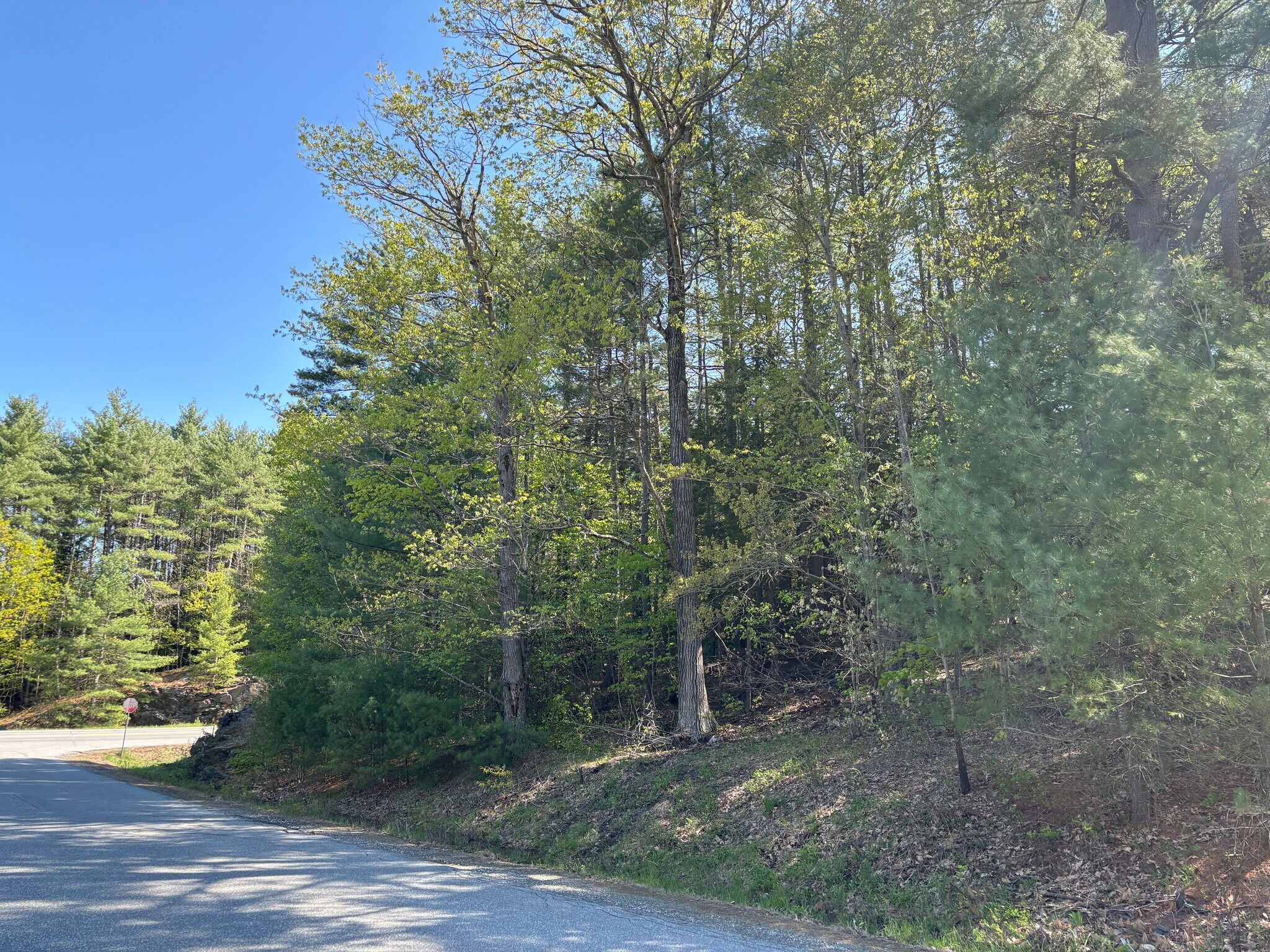 0 E Putney Falls Rd, Chester, VT à vendre Photo principale– Image 1 sur 31