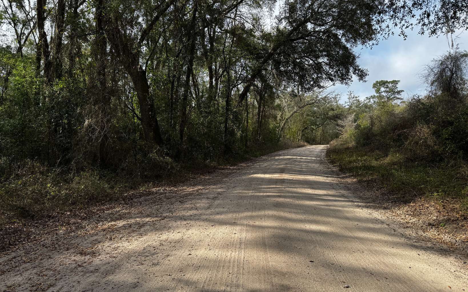 TBD 59th Dr, Wellborn, FL à vendre Photo principale– Image 1 sur 7