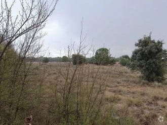 Terrain dans El Provencio, Cuenca à vendre - Photo de l’immeuble – Image 2 sur 3