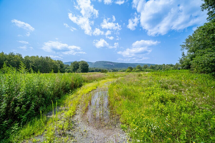 239 Springtown Rd, New Paltz, NY à vendre - Photo de l’immeuble – Image 3 sur 25