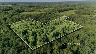 Country Home and Timberland in Holladay - Terrain