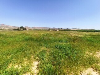 Plus de détails pour Vereda, 246, Jumilla - Terrain à vendre
